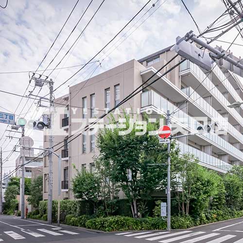 エンゼルハイム西六郷　前面道路