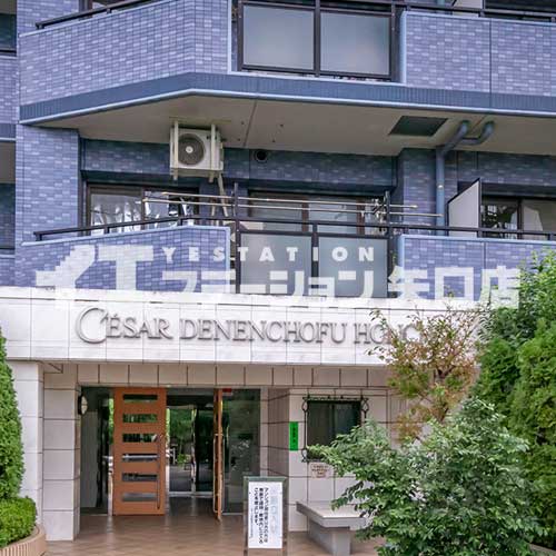 セザール田園調布本町 入口