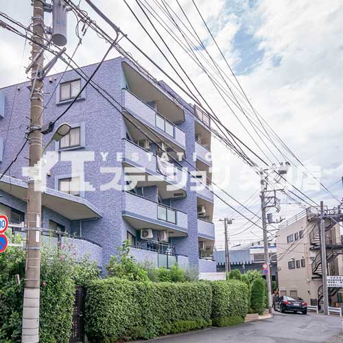 セザール田園調布本町 前面道路