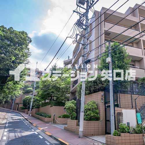 ディアナコート田園調布 前面道路