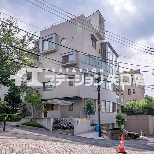 レガーレ田園調布 前面道路