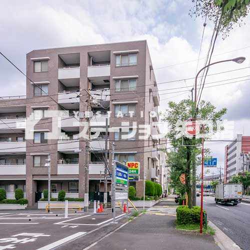 ステラート田園調布 前面道路